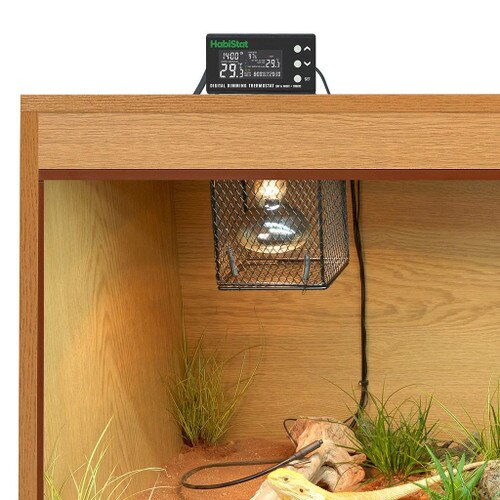 Digital Dimming Thermostat